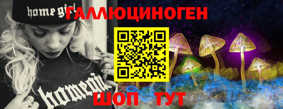 Псилоцибиновые грибы MAGIC MUSHROOMS  Вход с VPN  Ступино 